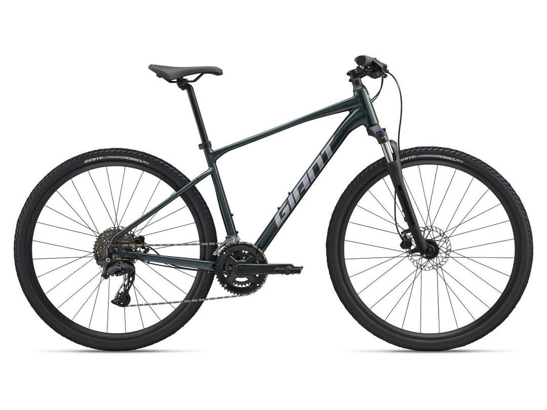Giant Roam 2
