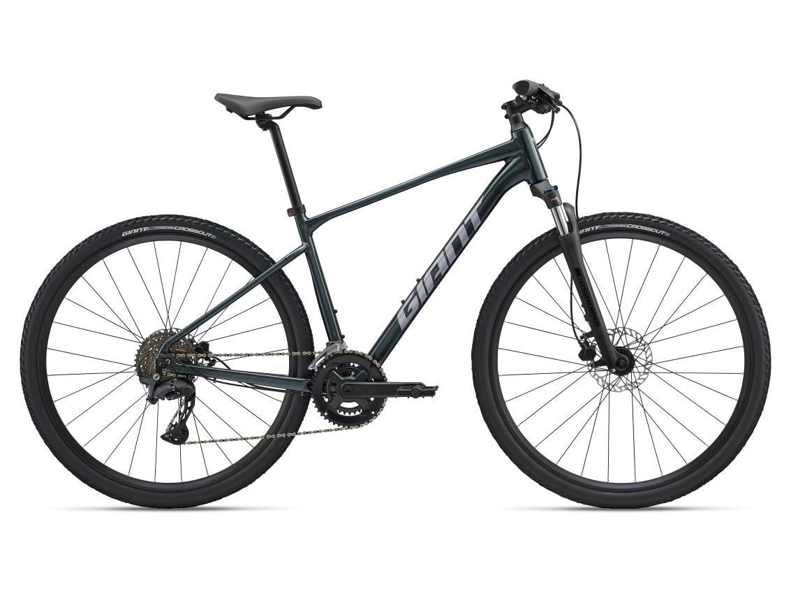 Giant Roam 2