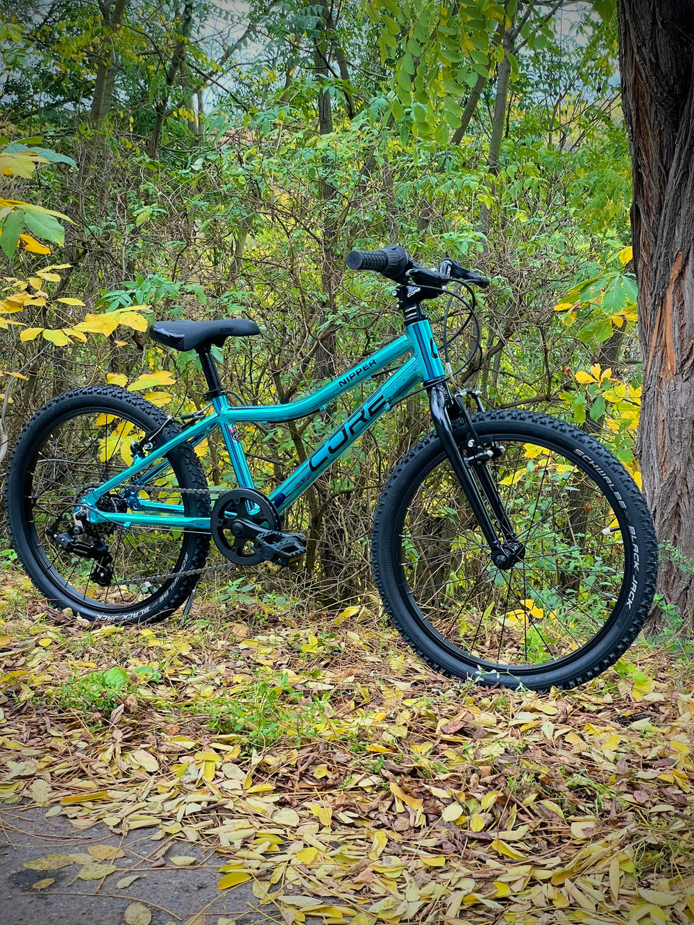 CORE Nipper 20" - Shimano 1x6s - Modrý Chrom